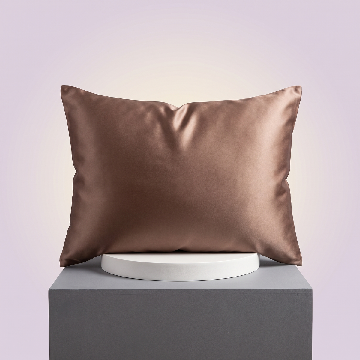Pillowcase color: Light Coffee